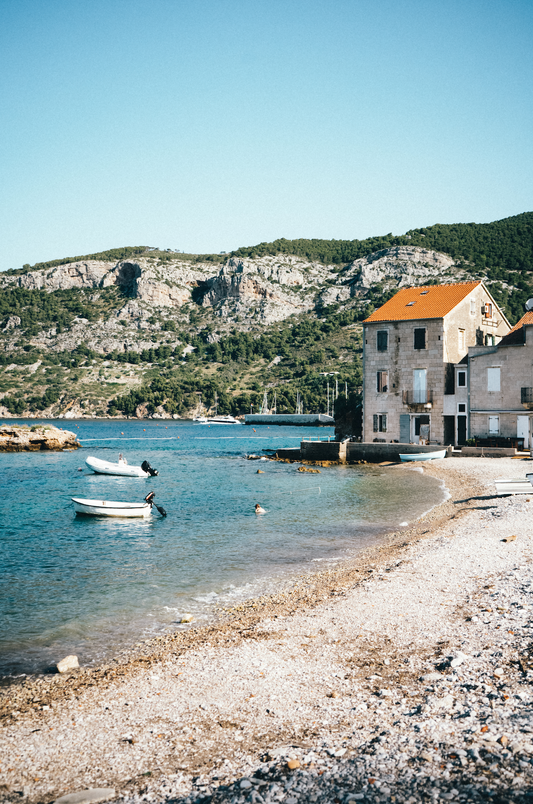 Vis Summer Print