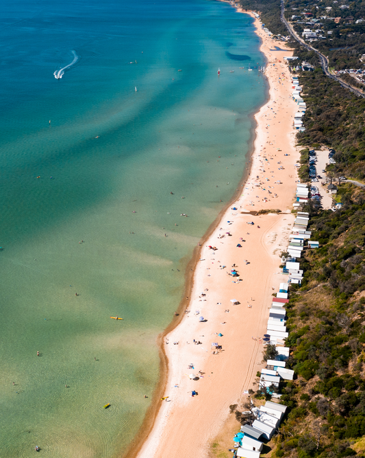South Beach Swimmers