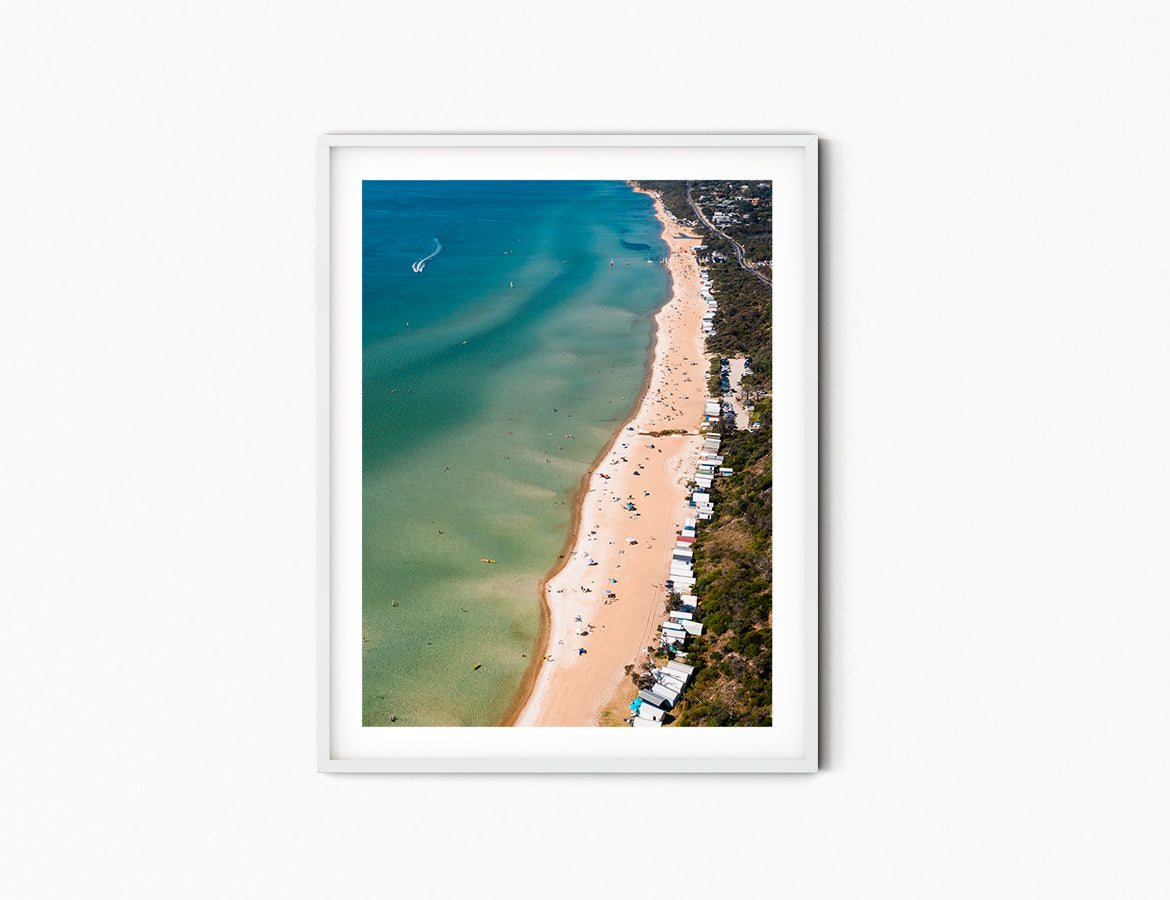 South Beach Swimmers
