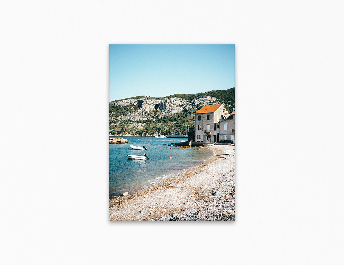 Vis Summer Print